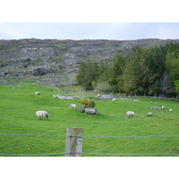 Picture Ireland Kerry Killarney National Park 2004-05 25 - Restaurant Killarney National Park