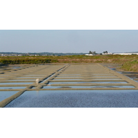 Picture France Guerande Les marais salants 2007-08 21 - Monuments Les marais salants