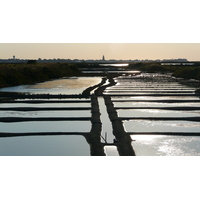 Picture France Guerande Les marais salants 2007-08 22 - Rain Season Les marais salants