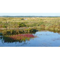 Picture France Guerande Les marais salants 2007-08 29 - Lakes Les marais salants