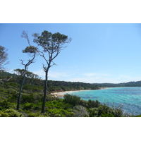 Picture France Porquerolles Island Pointe du Lequin 2008-05 15 - Shopping Pointe du Lequin