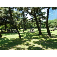 Picture Japan Tokyo Hama rikyu Gardens 2010-06 3 - Summer Hama rikyu Gardens