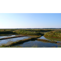 Picture France Guerande Les marais salants 2007-08 16 - Lakes Les marais salants