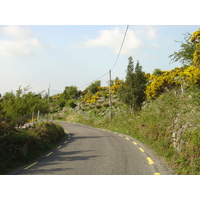 Picture Ireland Kerry Caragh Lake 2004-05 4 - Rental Caragh Lake