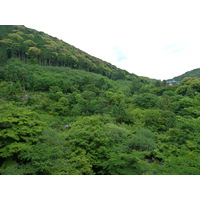 Picture Japan Kyoto Kiyomizu Dera Temple 2010-06 13 - Spring Kiyomizu Dera Temple