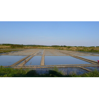 Picture France Guerande Les marais salants 2007-08 6 - Hotel Pools Les marais salants