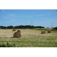 Picture France Belle-Ile 2016-08 248 - Lands Belle-Ile