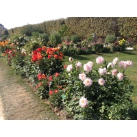 Picture France Paris Jardin des Plantes 2014-09 4 - Cheap Room Jardin des Plantes