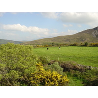 Picture Ireland Kerry Caragh Lake 2004-05 12 - Rental Caragh Lake