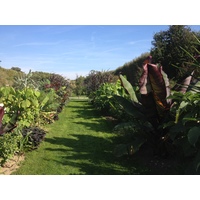 Picture France Paris Jardin des Plantes 2014-09 29 - Saving Jardin des Plantes