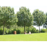 Picture France Villeneuve La Garenne Parc des Chanteraines 2007-07 48 - Waterfalls Parc des Chanteraines