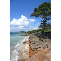 Picture France Porquerolles Island Courtade beach 2008-05 41 - Land Courtade beach