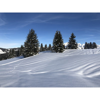 Picture France Praz sur Arly 2019-12 112 - Saving Praz sur Arly