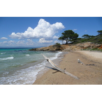 Picture France Porquerolles Island Courtade beach 2008-05 30 - Lake Courtade beach