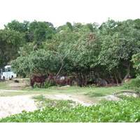 Picture Fiji Natadola beach 2010-05 26 - To see Natadola beach