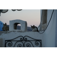 Picture Greece Santorini Oia cave house 2016-07 18 - Price Oia cave house