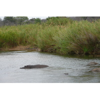 Picture South Africa Kruger National Park Sable River 2008-09 73 - Lands Sable River