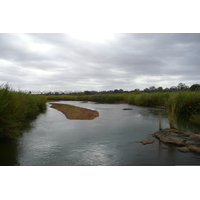 Picture South Africa Kruger National Park Sable River 2008-09 27 - Hotels Sable River