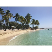 Picture Guadeloupe La Caravelle Beach 2021-02 86 - Saving La Caravelle Beach