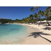 Picture Guadeloupe La Caravelle Beach 2021-02 38 - Monuments La Caravelle Beach