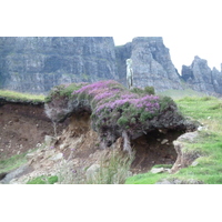 Picture United Kingdom Skye 2011-07 251 - Rental Skye