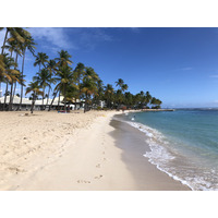 Picture Guadeloupe La Caravelle Beach 2021-02 101 - Saving La Caravelle Beach