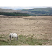 Picture United Kingdom Brecon Beacons National Parc 2006-05 17 - Restaurant Brecon Beacons National Parc