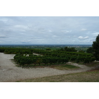 Picture France Monbazillac 2010-08 113 - Rentals Monbazillac