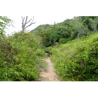 Picture Seychelles Anse Lazio 2011-10 110 - Lakes Anse Lazio