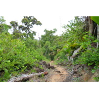 Picture Seychelles Anse Lazio 2011-10 128 - Spring Anse Lazio