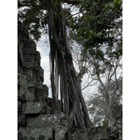 Picture Cambodia Siem Reap Ta Prohm 2023-01 138 - Sauna Ta Prohm