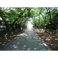 Picture Japan Tokyo Ueno 2010-06 54 - Rain Season Ueno