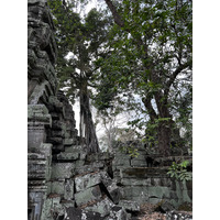 Picture Cambodia Siem Reap Ta Prohm 2023-01 6 - Lakes Ta Prohm