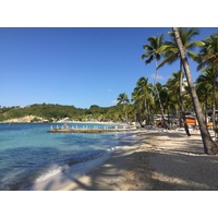 Picture Guadeloupe La Caravelle Beach 2021-02 61 - To see La Caravelle Beach