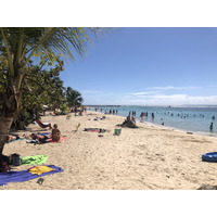 Picture Guadeloupe Sainte Anne 2021-02 93 - Hot Season Sainte Anne