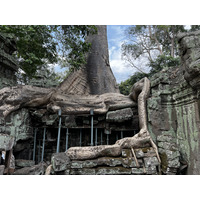 Picture Cambodia Siem Reap Ta Prohm 2023-01 33 - Monuments Ta Prohm