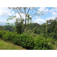 Picture Costa Rica Turrialba 2015-03 58 - Hotel Pools Turrialba