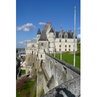 Picture France Amboise Amboise Castle 2008-04 78 - Cheap Room Amboise Castle