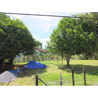 Picture Costa Rica Turrialba 2015-03 54 - Accomodation Turrialba