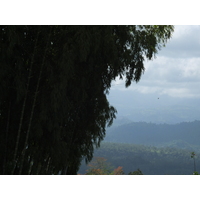 Picture Costa Rica Turrialba 2015-03 50 - City View Turrialba