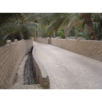 Picture United Arab Emirates Al Ain Al Ain Oasis 2005-03 38 - Weather Al Ain Oasis