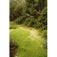 Picture Seychelles La Digue 2011-10 25 - SPA La Digue