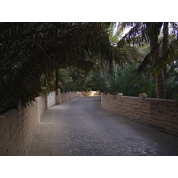 Picture United Arab Emirates Al Ain Al Ain Oasis 2005-03 9 - Hot Season Al Ain Oasis