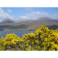 Picture Ireland Kerry Caragh Lake 2004-05 35 - Lands Caragh Lake