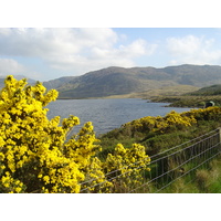 Picture Ireland Kerry Caragh Lake 2004-05 37 - Saving Caragh Lake