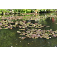 Picture France Giverny 2013-06 81 - Hotel Pools Giverny