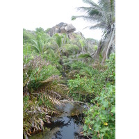 Picture Seychelles La Digue 2011-10 237 - Saving La Digue