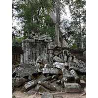 Picture Cambodia Siem Reap Ta Prohm 2023-01 81 - Transport Ta Prohm