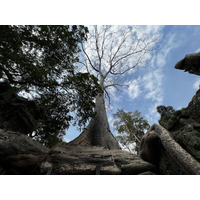 Picture Cambodia Siem Reap Ta Prohm 2023-01 92 - Night Ta Prohm