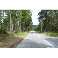 Picture United Kingdom Scotland Cairngorms National Park Invercauld Bridge 2011-07 14 - Price Invercauld Bridge